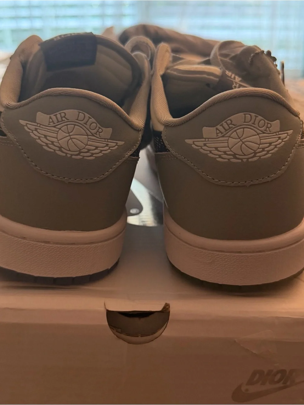 Dior Jordan Low Top Sneakers in Light Gray and White *REPS*